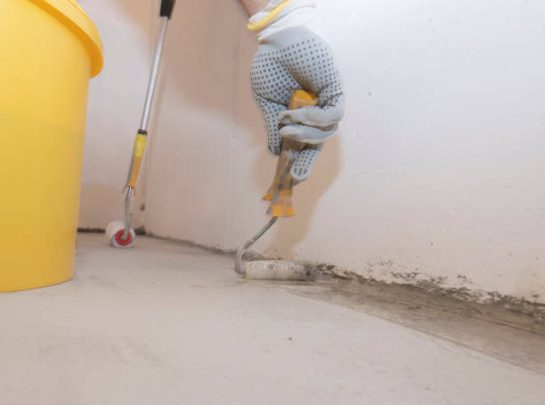 Best Pest Prevention Services  in Carson City, MI